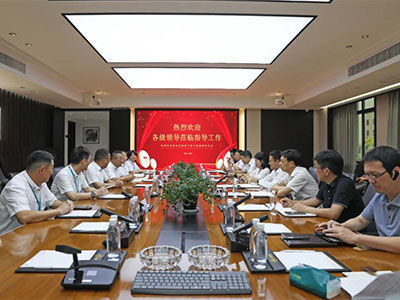 拼经济 促发展！温州湾新区党工委副书记谢忠诚率队赴集团开展调研督导活动